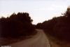 Filename=175.jpg
Filesize=34KiB
Dimensions=800x542
Date added=Nov 22, 2007 175.jpg