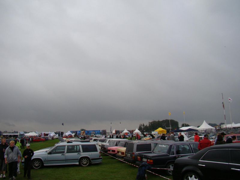 DSC01445.jpg