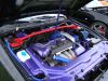 DSC03400.JPG