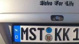 Volvo_S40_Elch_Kennzeichen.jpg