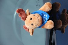 IMG_4756.geaendert.jpg