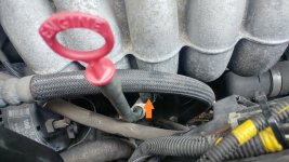 20250710-Peilstab (2).jpg